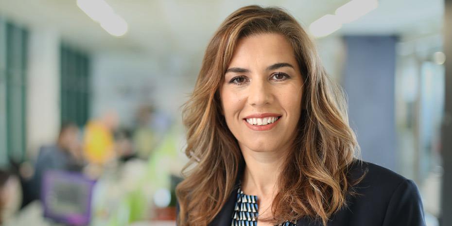 Πως δημιουργείται μια εταιρεία  με free float 41%, μετά την απορρόφηση της ICI από την BriQ Properties;