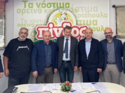 Pindos Epsilon Net 31 12 23