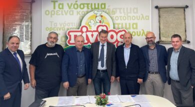 Pindos Epsilon Net 31 12 23