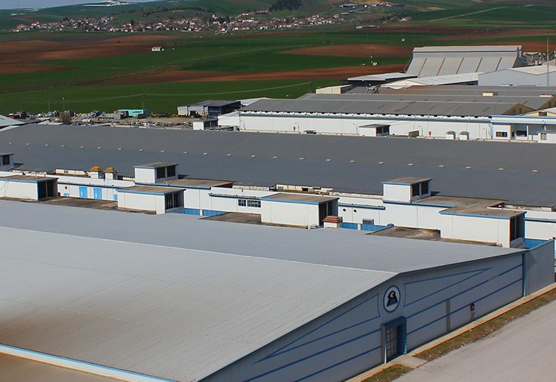 Επίλεκτος: Πρακτικό Ανασυγκρότησης Δ.Σ.