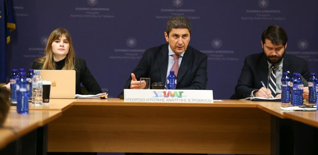 Λ.Αυγενάκης: Εθνικό Συμβούλιο Διεπαγγελ-ματικών Οργανώσεων