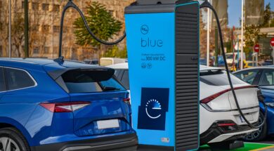 DEI blue milestone 21 01 24