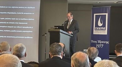 SEEPE Aligizakis 2 21 01 24