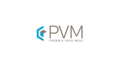 pvm-logo-379×150-1