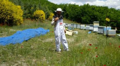 DEI Melisokomia Oikologia 21 07 24