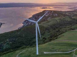 DEI Anemogenitries 09 06 24