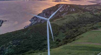 DEI Anemogenitries 09 06 24