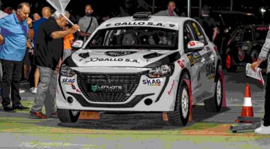 GALLO SA (3) Peugeot 15 09 24