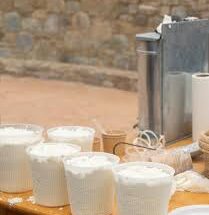 AV Vasilopoulos Anogia 27 10 24