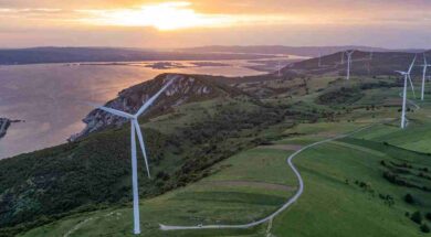 DEI Anemogenitries 09 06 24