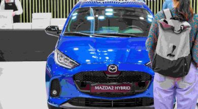 Mazda 2 20 10 24