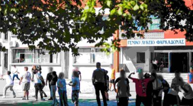 My market – Farcadona Childrens 12 10 24