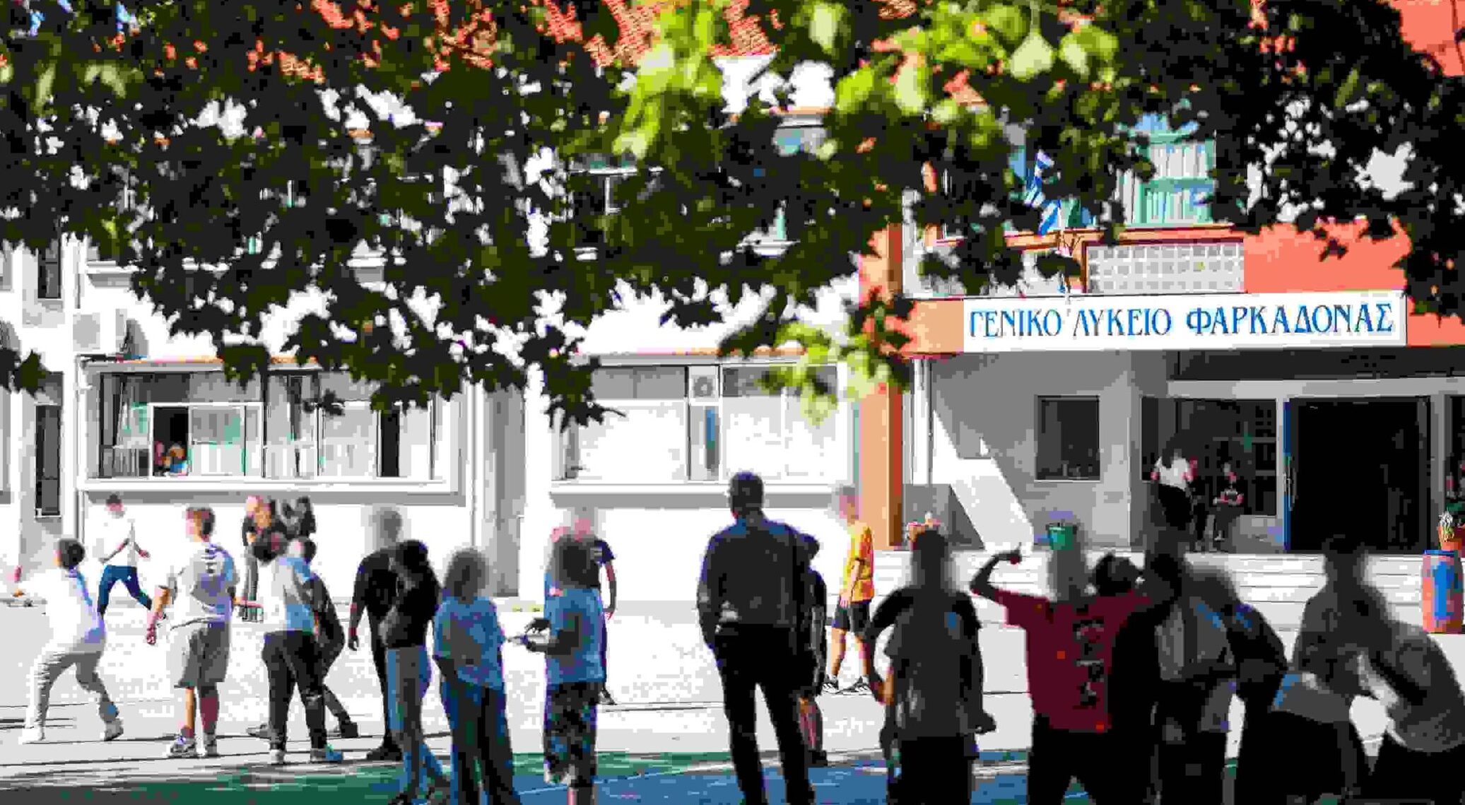 My market: Ολοκλήρωσαν μία νέα δράση υποστήριξης στην τοπική κοινωνία της Φαρκαδόνας