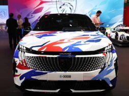 Peugeot 3008 20 10 24
