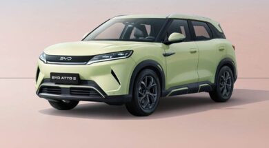 BYD ATTO 2 Green NCAP 19 01 25