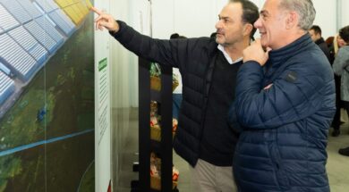 Chalioris Lavidas AV 06 04 25