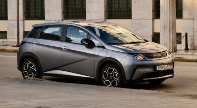 BYD DOLPHIN 24 08 25