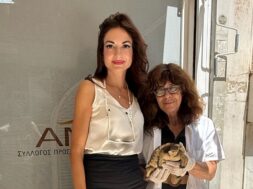 Honda Xitaki 17 08 25