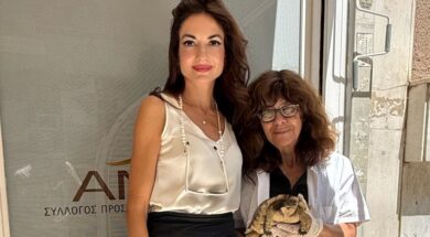 Honda Xitaki 17 08 25