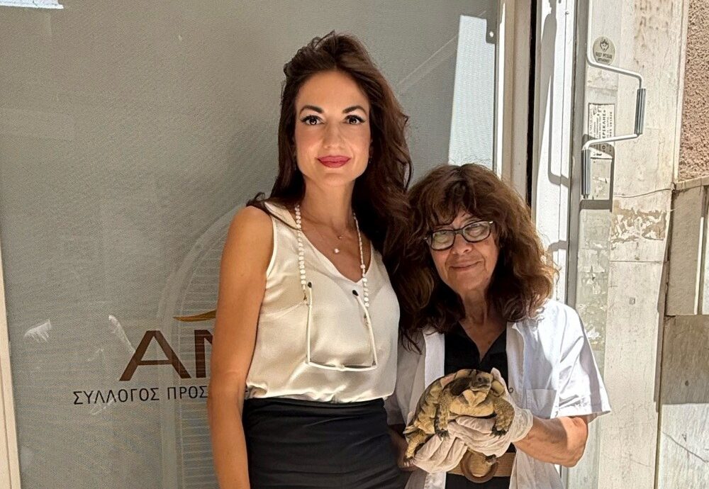 Όμιλος Επιχειρήσεων Σαρακάκη: Yποστηρικτής του έργου της ΑΝΙΜΑ για τη διάσωση ζώων