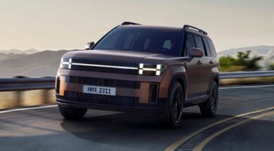 Hyundai Santa Fe_L 24 08 25