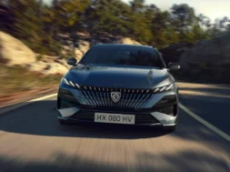 Peugeot 308 2 31 08 25