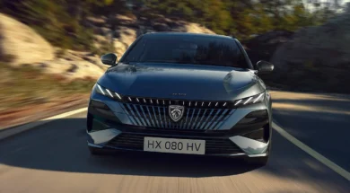 Peugeot 308 2 31 08 25