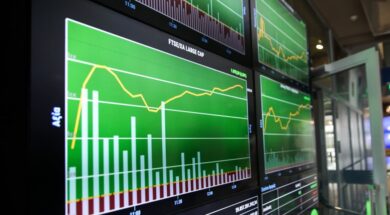 XA P;inakew 15 09 24