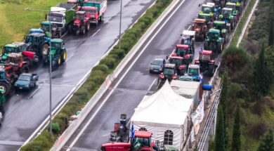 mploka_agroton- 28 12 25