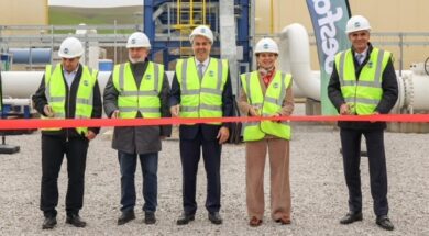 Desfa Ampelia 25 01 26