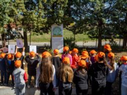 DEI – Carbon Farming Schools 15 02 26