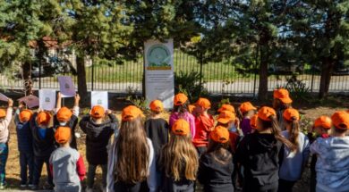 DEI – Carbon Farming Schools 15 02 26