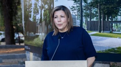 Dimtsa PAVILION 27 07 25