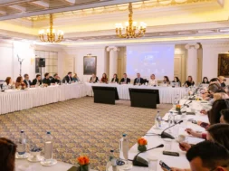 Panel DIM_ Delphi 19 04 26