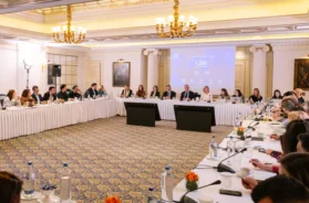 Panel DIM_ Delphi 19 04 26