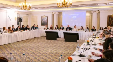 Panel DIM_ Delphi 19 04 26