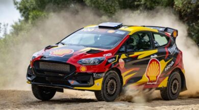 Ford Flandy_02 28 06 26