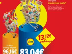 Lidl econopy 07 06 26