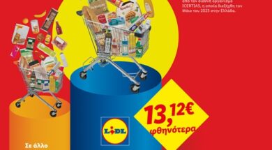 Lidl econopy 07 06 26