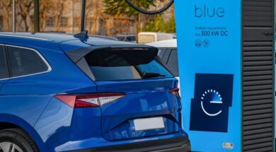 DEI blue 3 05 07 26