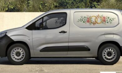 Peugeot Partners 30 08 26